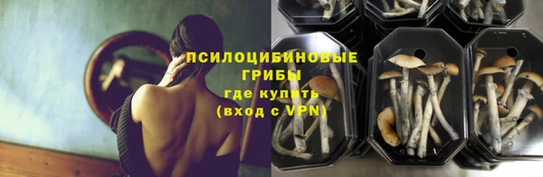 эйфоретик Алзамай