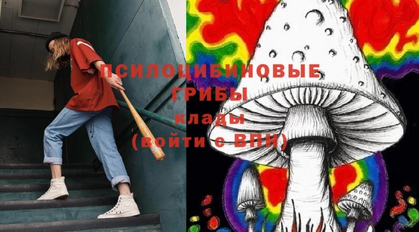 ГАЛЛЮЦИНОГЕННЫЕ ГРИБЫ Алексин