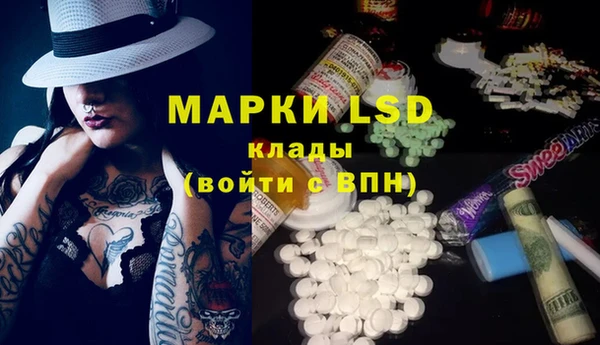 ГАЛЛЮЦИНОГЕННЫЕ ГРИБЫ Алексин