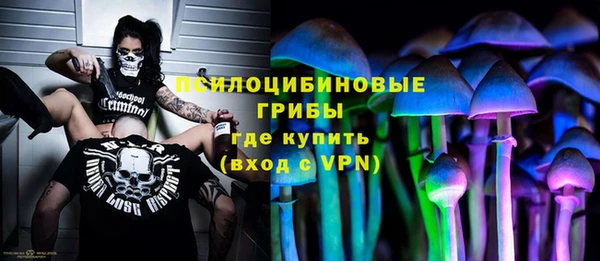 ГАЛЛЮЦИНОГЕННЫЕ ГРИБЫ Алексин