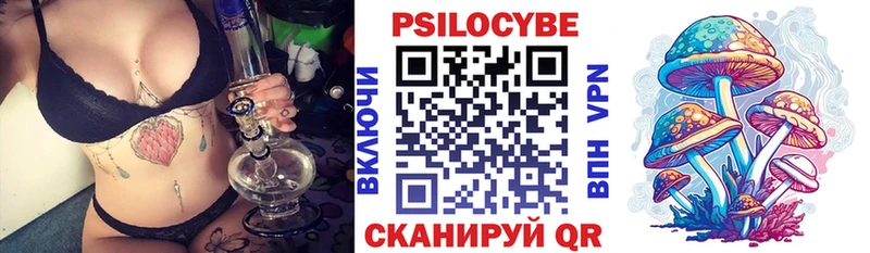 Галлюциногенные грибы Psilocybine cubensis  Андреаполь 